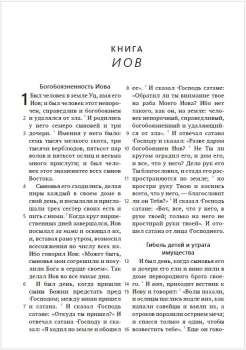 Bibel Synodal Version (mehrfarbig), Russisch
